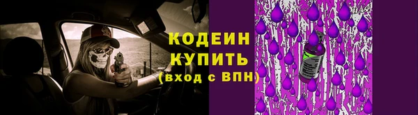 PSILOCYBIN Белокуриха