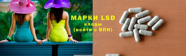 PSILOCYBIN Белокуриха