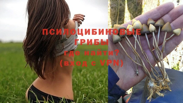 синтетический гашиш Иннополис
