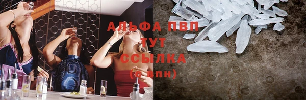 PSILOCYBIN Белокуриха