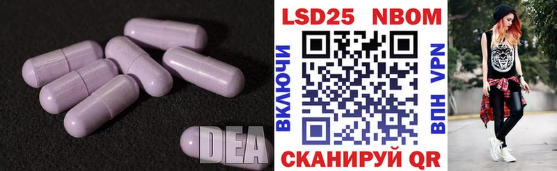 дарк нет как зайти  Курчатов  Лсд 25 экстази ecstasy 