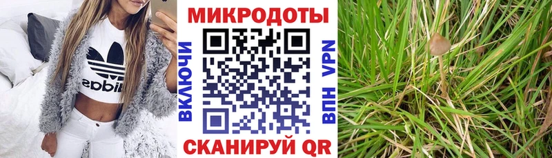 Псилоцибиновые грибы мухоморы Курчатов