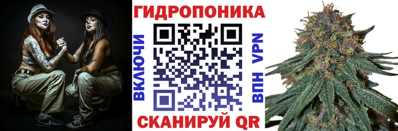 сайты даркнета состав  дарнет шоп  Курчатов  Бошки марихуана LSD WEED 